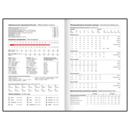 Ежедневник недатированный А5 145х220 мм, BRAUBERG "Zipline" под кожу, карман-молния, 160 л., бежевый, 116250