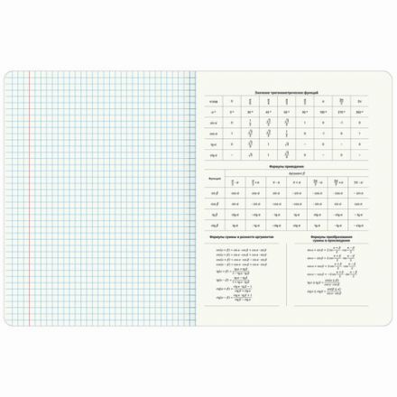 Тетради предметные, КОМПЛЕКТ 12 ПРЕДМЕТОВ, 48 л., матовая ламинация, фольга, BRAUBERG "GOLDY", 405178