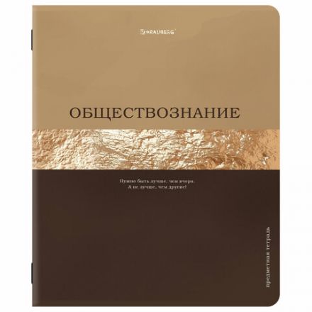 Тетради предметные, КОМПЛЕКТ 12 ПРЕДМЕТОВ, 48 л., матовая ламинация, фольга, BRAUBERG "GOLDY", 405178
