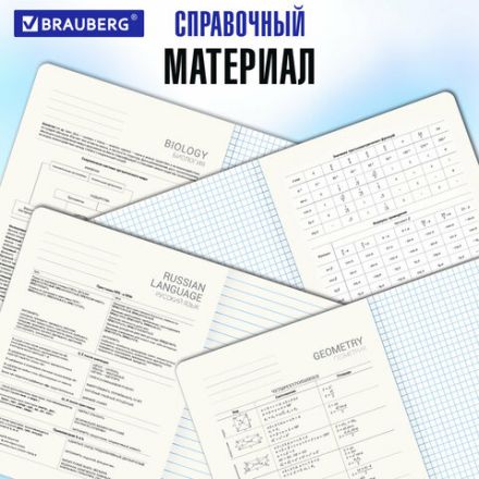 Тетради предметные, КОМПЛЕКТ 12 ПРЕДМЕТОВ, 48 л., матовая ламинация, фольга, BRAUBERG "GOLDY", 405178