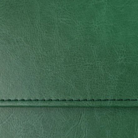 Планинг датированный 2026, зеленый,  303х150 мм, 120стр, Agenda