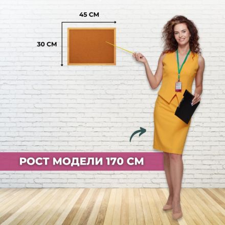 Доска HDF Attache Economy 30х45 деревян. рама