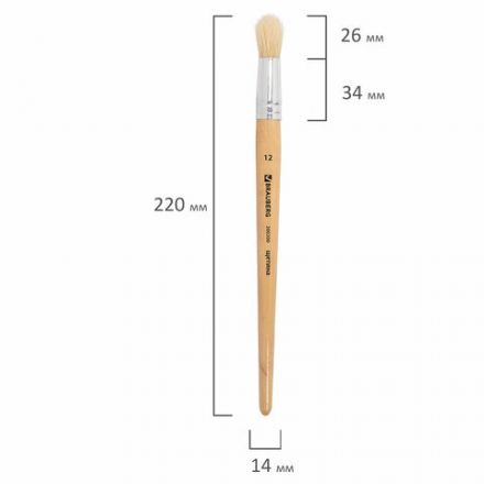 Кисть BRAUBERG, щетина, круглая, № 12, 200200