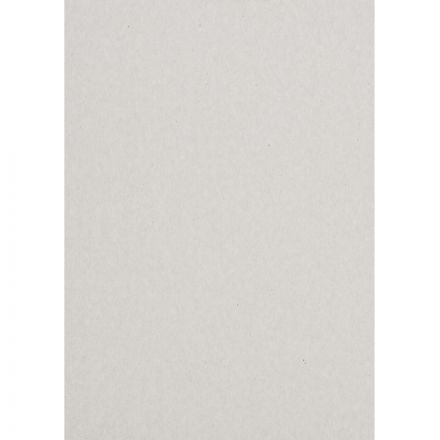 Картон цветной №1School 10л.10цв.А4 мелован(золото+сереб) Отличник