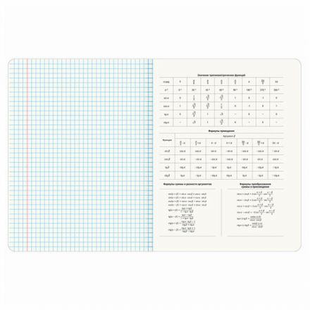 Тетради предметные, КОМПЛЕКТ 12 ПРЕДМЕТОВ, 48 л., рельефный картон, BRAUBERG "BLOSSOM", 405179