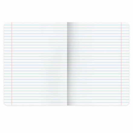 Тетради предметные, КОМПЛЕКТ 12 ПРЕДМЕТОВ, 48 л., рельефный картон, BRAUBERG "BLOSSOM", 405179