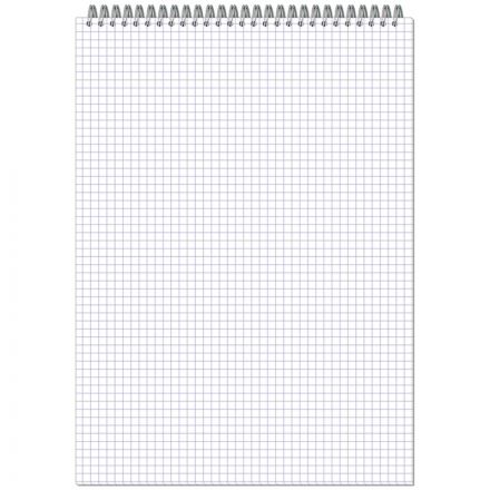 Блокнот Attache А4 40 листов в клетку на спирали (203х290 мм) Блокнот Attache А4 40 листов в клетку на спирали (203х290 мм)