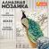 Картина стразами (алмазная мозаика) 40х50 см, ОСТРОВ СОКРОВИЩ "Павлин", без подрамника, 662411 Картина стразами (алмазная мозаика) 40х50 см, ОСТРОВ СОКРОВИЩ "Павлин", без подрамника, 662411