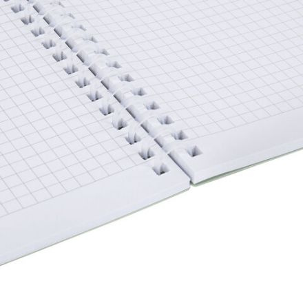 Тетрадь обложка пластик, А4 80 л., гребень мягкий, вырубка для ручки, клетка, BRAUBERG, светло-зеленый, 405373