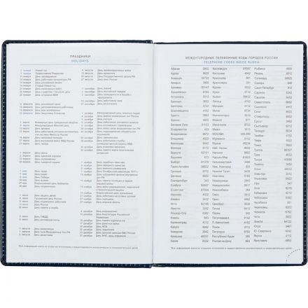 Ежедневник недатированный синий, А5, 148x218, 352стр, Agenda