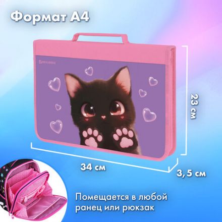 Папка на молнии BRAUBERG А4 с ручкой, с органайзером, 1 отделение, "Paw prints", 273383