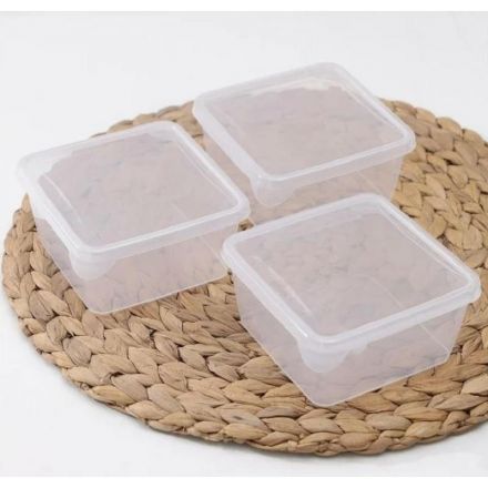Набор контейнеров для заморозки Frozen 0,45л квадрат 115х115х85мм 3шт/наб
