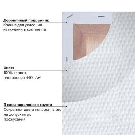 Холст на подрамнике BRAUBERG ART CLASSIC, 70х90 см, 440 г/м2, грунт, 100% хлопок, крупное зерно, 191026