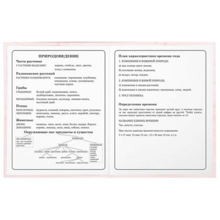 Дневник 1-4 класс 48 л., гибкая обложка, ЮНЛАНДИЯ, выборочный лак, с подсказом, "Лисёнок", 106819