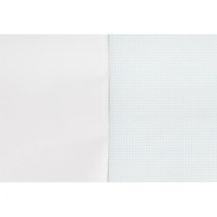 Тетрадь общая А4 96 листов в клетку на скрепке (обложка в ассортименте)