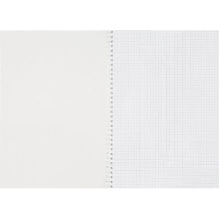 Тетрадь общая А4 96л Attache Metallic Стальной клетка, греб, картон, фольга