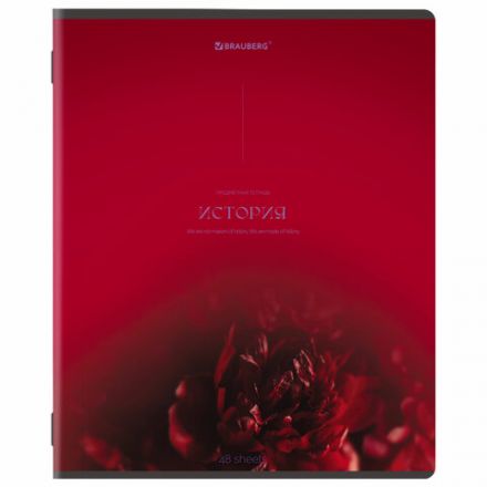 Тетради предметные, КОМПЛЕКТ 13 ПРЕДМЕТОВ, 48 л., SoftTouch, BRAUBERG "PEACEFUL", 405182