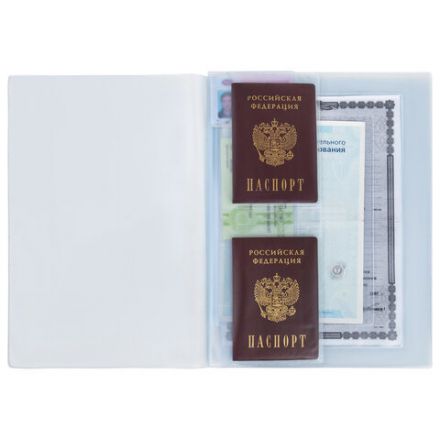 Папка-органайзер, обложка семейная для 1-го комплекта документов, А4, ПВХ, матовая, STAFF, 238337