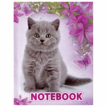 Блокнот МАЛЫЙ ФОРМАТ 110х147 мм, А6, 80 л., твердый, клетка, выборочный лак, BRAUBERG, "Котята", 122192