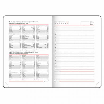 Ежедневник недатированный А5 (138х213 мм), BRAUBERG VISTA, под кожу, гибкий, 136 л., "Birds", 112021