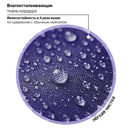 Ранец BRAUBERG PREMIUM, 2 отделения, с брелоком, "Anime cat", 38х29х16 см, 272017 Ранец BRAUBERG PREMIUM, 2 отделения, с брелоком, "Anime cat", 38х29х16 см, 272017