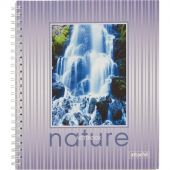 Тетрадь общая Attache А5 96 листов в клетку на спирали Тетрадь общая Attache А5 96 листов в клетку на спирали