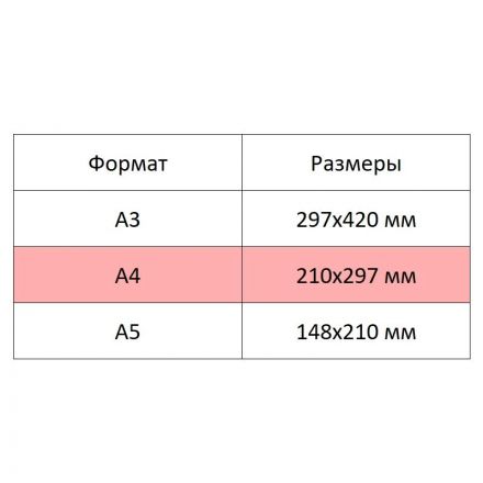 Альбом для рисования Kroyter А4 40л скл,бл.100г, Frends,диз.в асс.64447