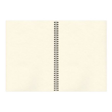 Скетчбук, слоновая кость 150 г/м2, 210х297 мм, 30 л., гребень, BRAUBERG ART CLASSIC, 128947