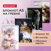 Блокнот А5 (146х206 мм), 80 л., гребень, картон, клетка, BRAUBERG, "Довольные коты", 114374 Блокнот А5 (146х206 мм), 80 л., гребень, картон, клетка, BRAUBERG, "Довольные коты", 114374