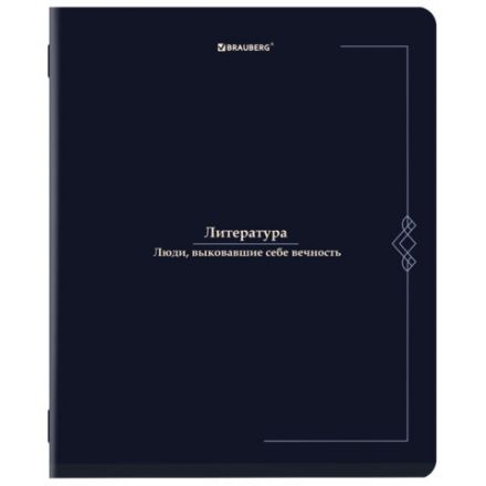 Тетради предметные, КОМПЛЕКТ 12 ПРЕДМЕТОВ, 48 л., SoftTouch, BRAUBERG "VINTAGE", 405183