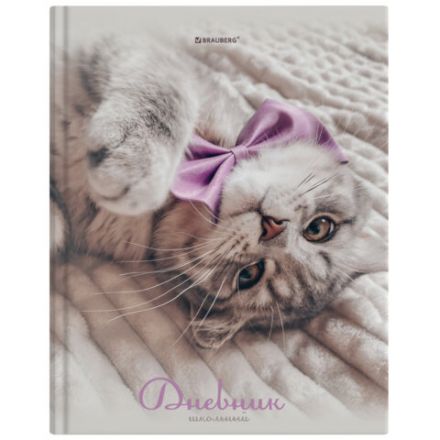 Дневник 5-11 класс 48 л., твердый, BRAUBERG, глянцевая ламинация, с подсказом, "Котик", 107188