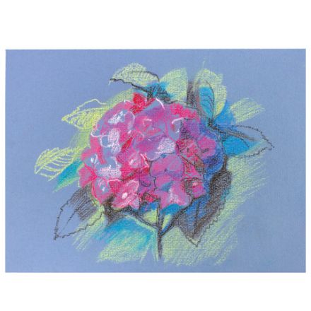 Пастель масляная восковые мелки утолщенные 25 цветов с точилкой и держателем, BRAUBERG PREMIUM, 272712 Пастель масляная восковые мелки утолщенные 25 цветов с точилкой и держателем, BRAUBERG PREMIUM, 272712