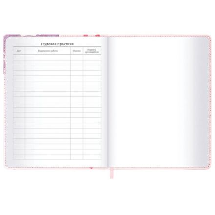 Дневник 1-11 класс 48 л., кожзам (твердая), застежка, BRAUBERG, "Аниме девочка", 107228