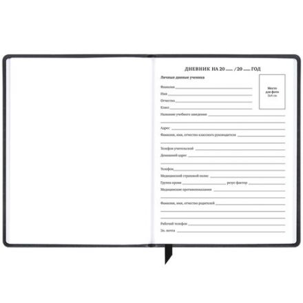 Дневник 1-11 класс 48 л., кожзам (твердая), печать, резинка, конверт, BRAUBERG, "Eyes", 106578