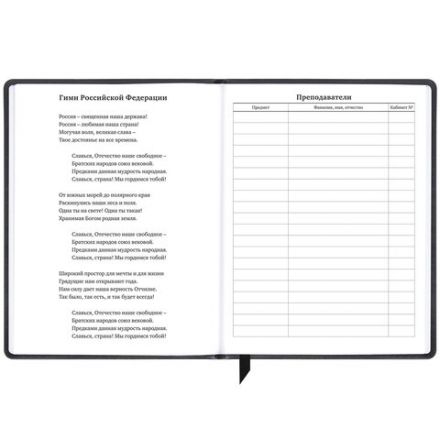 Дневник 1-11 класс 48 л., кожзам (твердая), печать, резинка, конверт, BRAUBERG, "Eyes", 106578