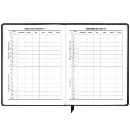 Дневник 1-11 класс 48 л., кожзам (твердая), печать, резинка, конверт, BRAUBERG, "Eyes", 106578