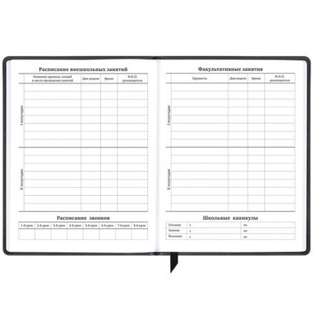 Дневник 1-11 класс 48 л., кожзам (твердая), печать, резинка, конверт, BRAUBERG, "Eyes", 106578