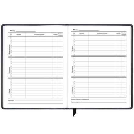 Дневник 1-11 класс 48 л., кожзам (твердая), печать, резинка, конверт, BRAUBERG, "Eyes", 106578