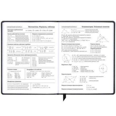 Дневник 1-11 класс 48 л., кожзам (твердая), печать, резинка, конверт, BRAUBERG, "Eyes", 106578