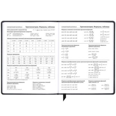 Дневник 1-11 класс 48 л., кожзам (твердая), печать, резинка, конверт, BRAUBERG, "Eyes", 106578