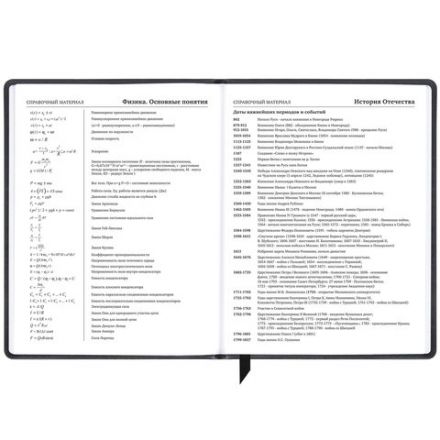 Дневник 1-11 класс 48 л., кожзам (твердая), печать, резинка, конверт, BRAUBERG, "Eyes", 106578