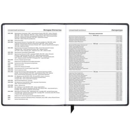 Дневник 1-11 класс 48 л., кожзам (твердая), печать, резинка, конверт, BRAUBERG, "Eyes", 106578