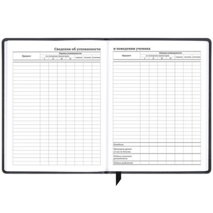 Дневник 1-11 класс 48 л., кожзам (твердая), печать, резинка, конверт, BRAUBERG, "Eyes", 106578