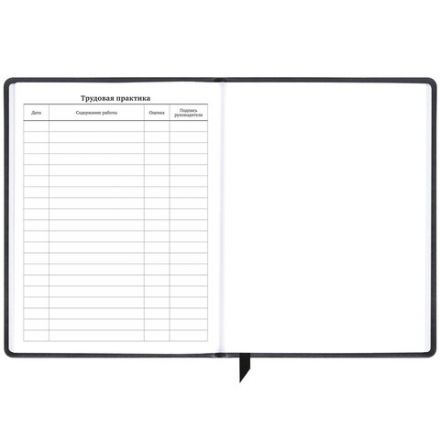 Дневник 1-11 класс 48 л., кожзам (твердая), печать, резинка, конверт, BRAUBERG, "Eyes", 106578