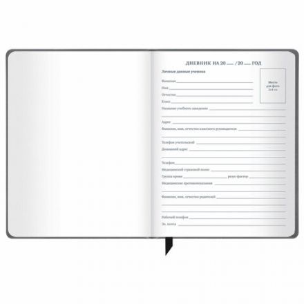 Дневник 1-11 класс 48 л., кожзам (твердая), печать, резинка, конверт, BRAUBERG, "Eyes", 106578