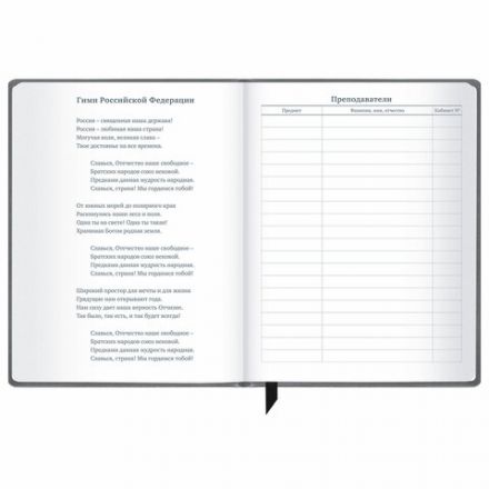 Дневник 1-11 класс 48 л., кожзам (твердая), печать, резинка, конверт, BRAUBERG, "Eyes", 106578