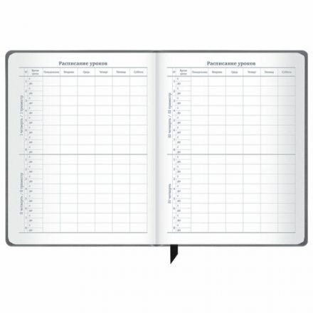 Дневник 1-11 класс 48 л., кожзам (твердая), печать, резинка, конверт, BRAUBERG, "Eyes", 106578