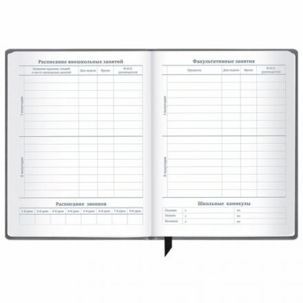 Дневник 1-11 класс 48 л., кожзам (твердая), печать, резинка, конверт, BRAUBERG, "Eyes", 106578