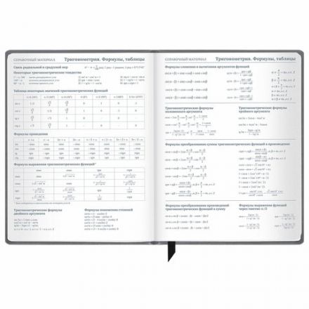 Дневник 1-11 класс 48 л., кожзам (твердая), печать, резинка, конверт, BRAUBERG, "Eyes", 106578