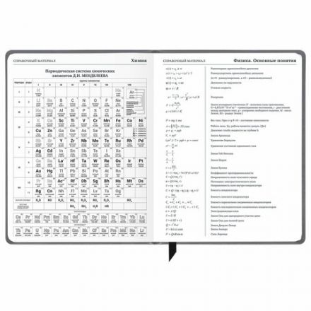 Дневник 1-11 класс 48 л., кожзам (твердая), печать, резинка, конверт, BRAUBERG, "Eyes", 106578
